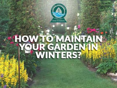 how to maintain a garden
