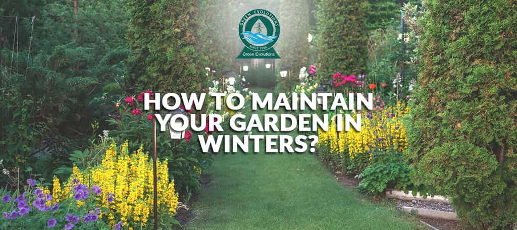 how to maintain a garden