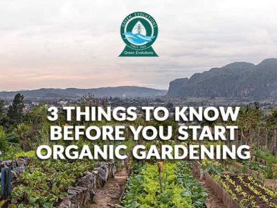 organic gardening