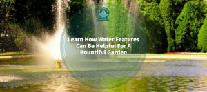 Learn How Water Features Can Be Helpful For A Bountiful Garden