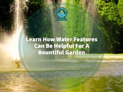Learn How Water Features Can Be Helpful For A Bountiful Garden