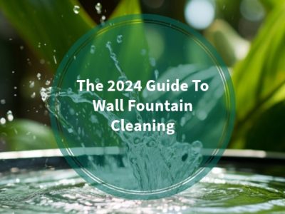 Wall Fountain Cleaning