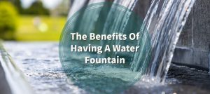 The Benefits Of Having A Water Fountain