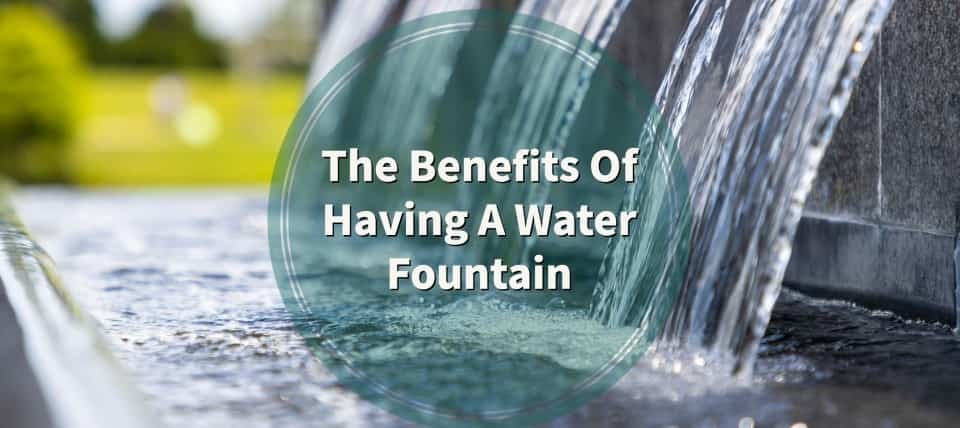 benefits of water fountain at home