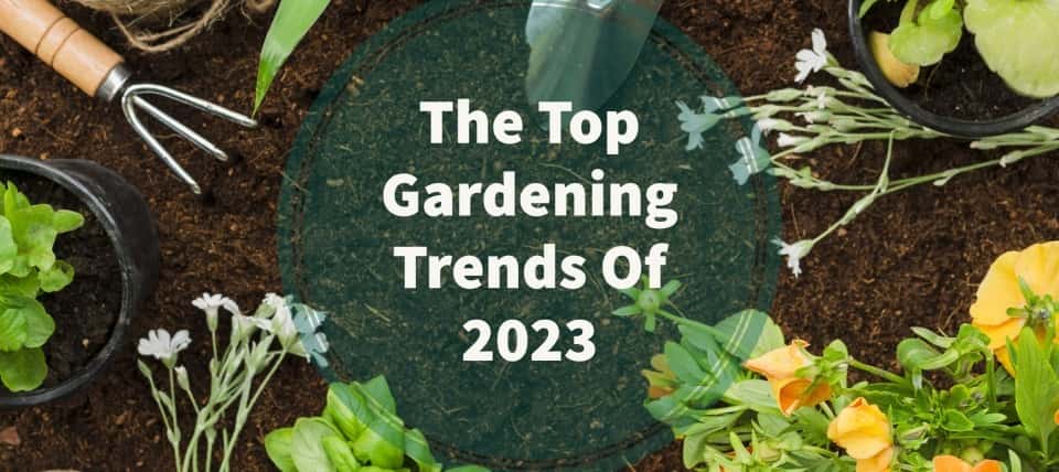 The Top Gardening Trends Of 2023 1